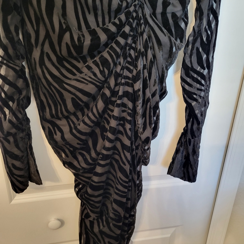Zebra Print Long Sleeve Dress - Picture 2 of 9